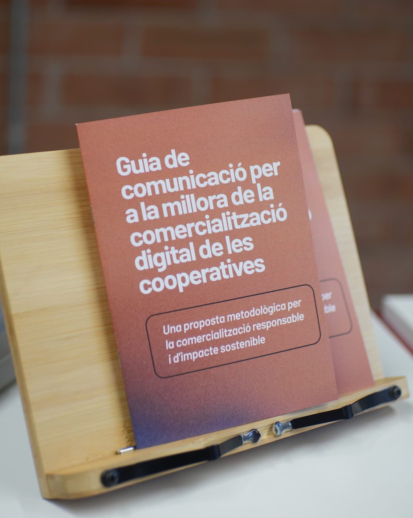 DSC03458 1 scaled e1770122138444